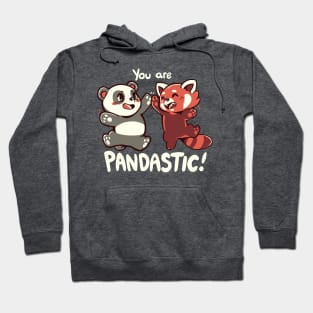 You are Pandastic Hoodie